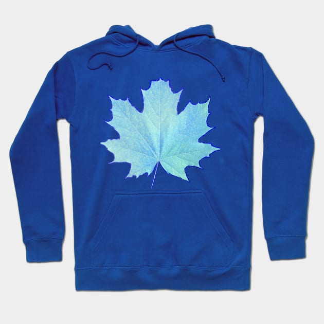 Frozen Leaf Hoodie by Mavis